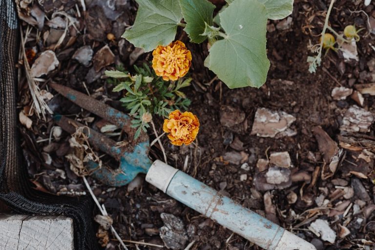 Why Investing in Quality Gardening Equipment Matters for You